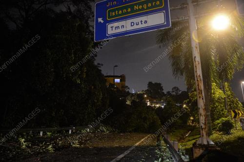 POKOK TUMBANG AKIBAT RIBUT