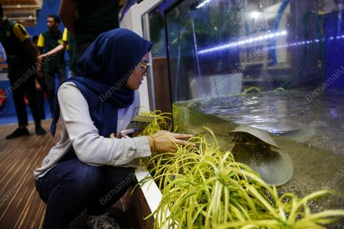 KL60_23112018_MAHA_BN201811214298