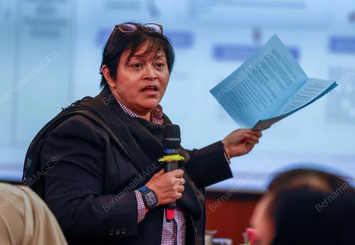 DATUK SERI AZALJNA OTHMAN SAID