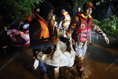 BANJIR SELANGOR