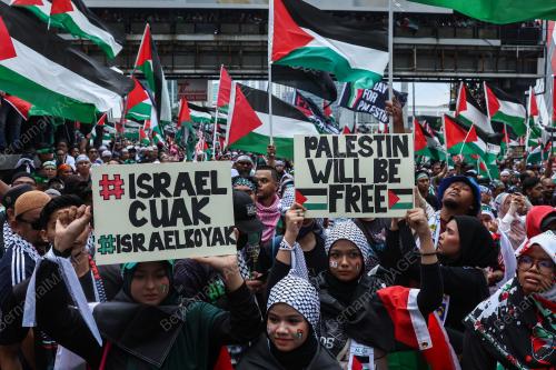 HIMPUNAN SOLIDARITI PALESTIN