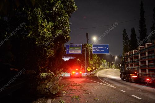 POKOK TUMBANG AKIBAT RIBUT