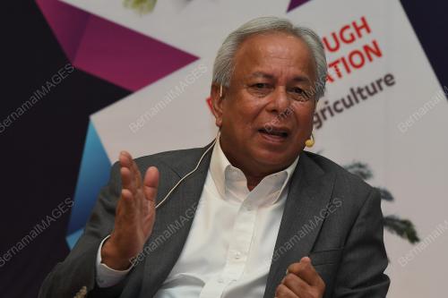 DATUK MOHAMAD NAGEEB AHMAD ABDUL WAHAB