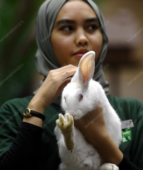KL61_23112018_MAHA_BN201811214298