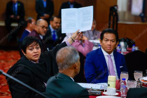 DATUK SERI AZALJNA OTHMAN SAID