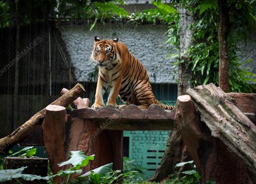 ZOO NEGARA