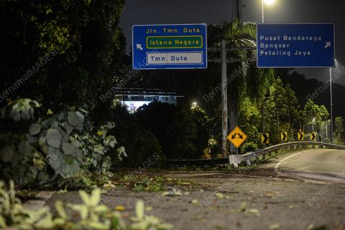POKOK TUMBANG AKIBAT RIBUT