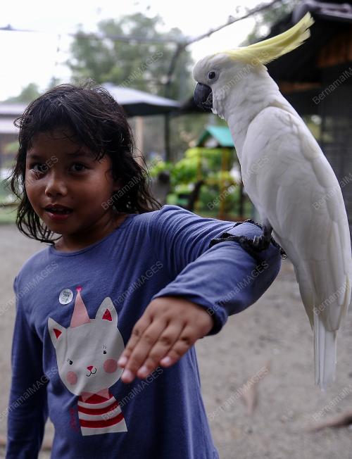 KL62_29112018_MAHA_BN201811214304