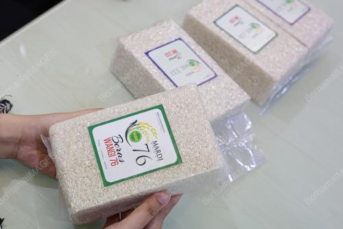 BERAS MARDI