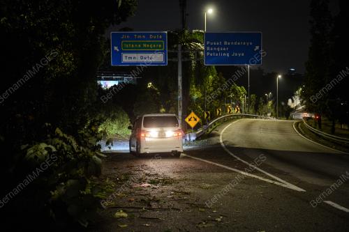 POKOK TUMBANG AKIBAT RIBUT
