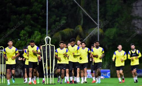 HARIMAU MALAYA