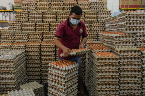 TINJAUAN TELUR