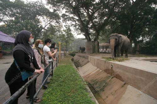 KL63_24062013_ZOO_JEREBU