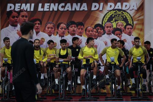 SKIAD HARIMAU MALAYA