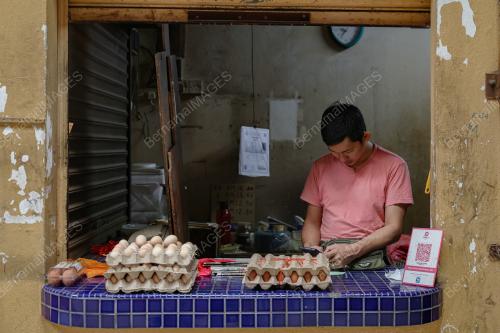 SUBSIDI TELUR