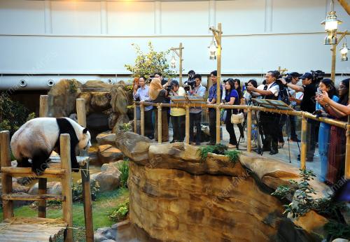 KL648_17072014_IFTAR