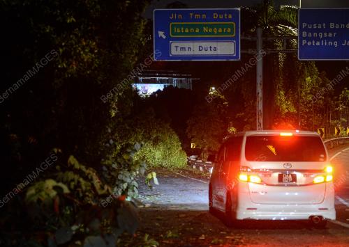 POKOK TUMBANG AKIBAT RIBUT