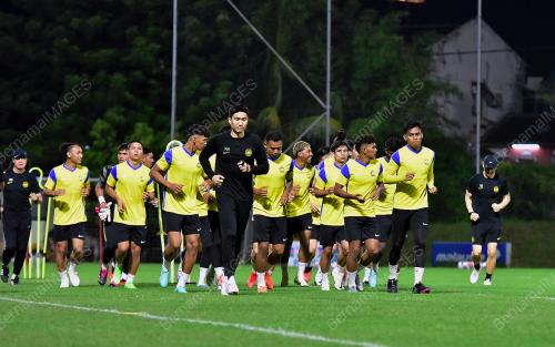 HARIMAU MALAYA