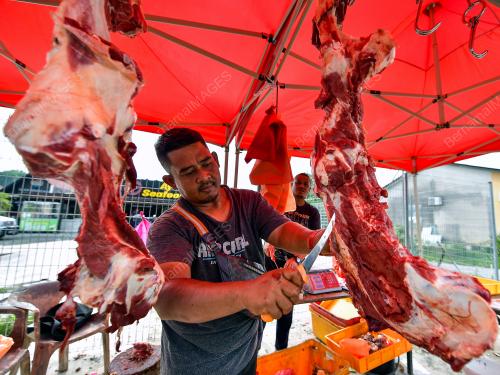 DAGING LEMBU