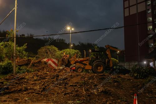 DUA LELAKI MAUT DIHEMPAP POKOK TUMBANG DI AMPANG