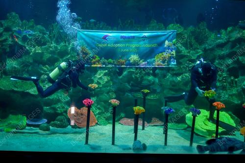 THE LAUNCH OF AQUARIA KLCC'S CORAL