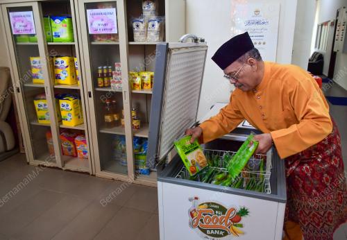 MOHD SHAH HASIM