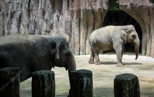 ZOO NEGARA