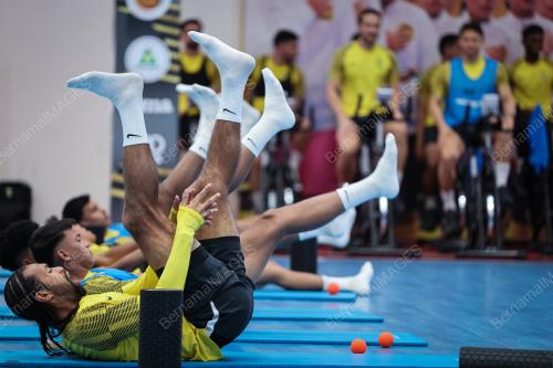 SKIAD HARIMAU MALAYA