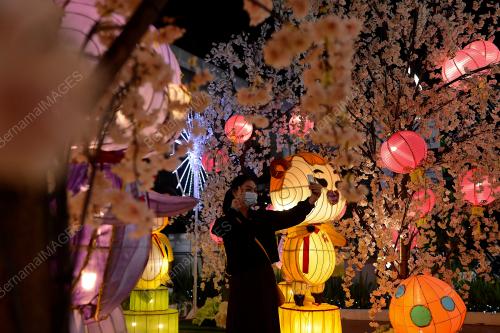 FESTIVAL MID-AUTUMN