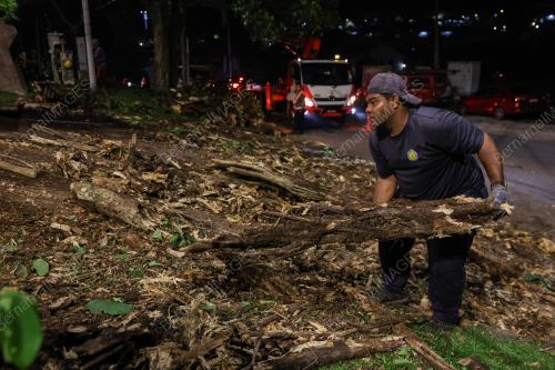 DUA LELAKI MAUT DIHEMPAP POKOK TUMBANG DI AMPANG