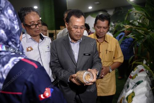 KL67_23112018_JOHOR_BN201811214298