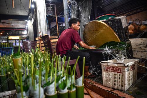 LEMANG DAUN LEREK