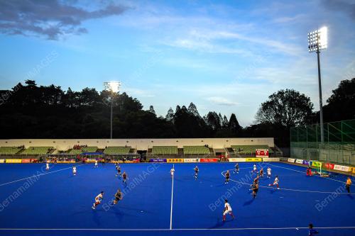 TENAGA NASIONAL BERHAD VS TERRITORY STINGERS