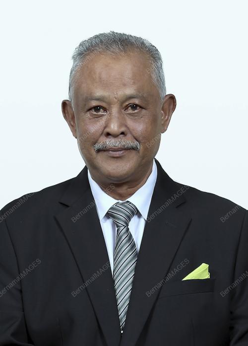 JAMALUDDIN MUHAMMAD