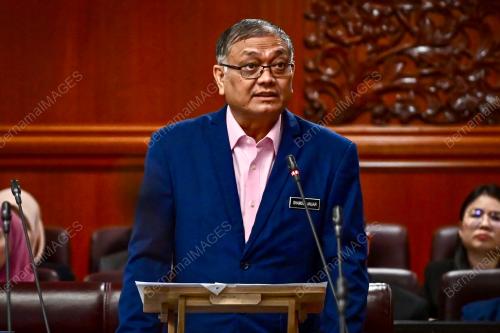 DATUK SERI SHAMSUL ANUAR NASARAH