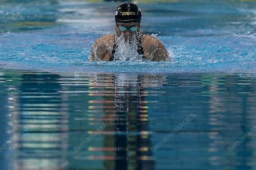 PHEE JING EN