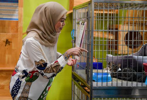 TENGKU PERMAISURI NORASHIKIN