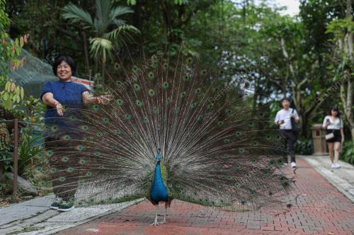 KL BIRD PARK TARIKAN PENGUNJUNG