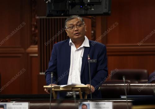 DATUK SERI DR SHAMSUL ANUAR