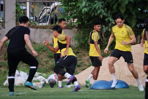 SKIAD HARIMAU MALAYA