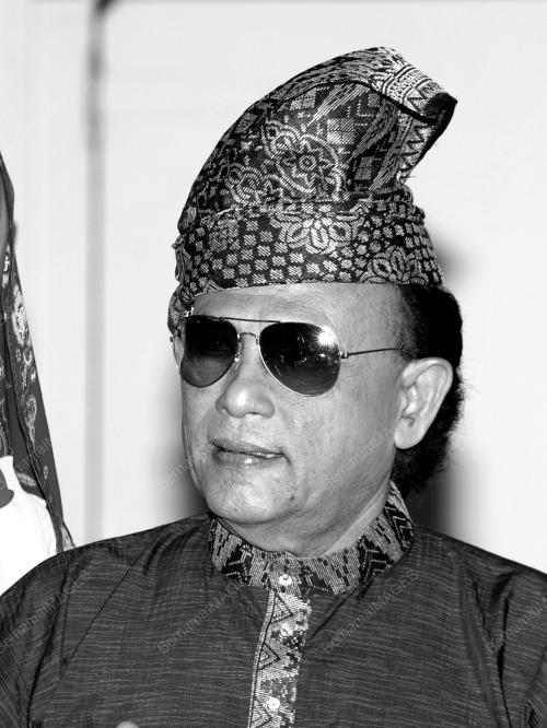 DATUK HAIL AMIR