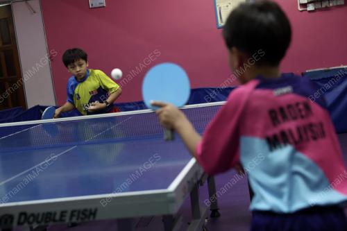 PEMAIN CILIK PING PONG