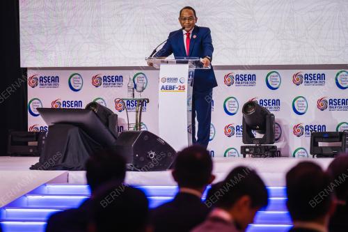 DATUK IR TS RAZIB DAWOOD
