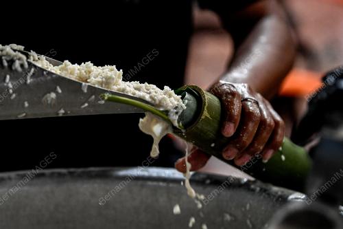 LEMANG DAUN LEREK