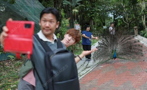 KL BIRD PARK TARIKAN PENGUNJUNG