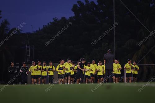 LATIHAN HARIMAU MALAYA