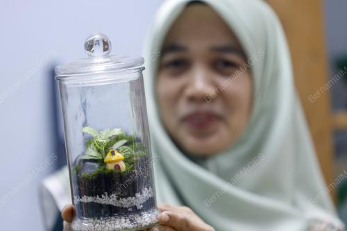 XPORIA SAINS 2024