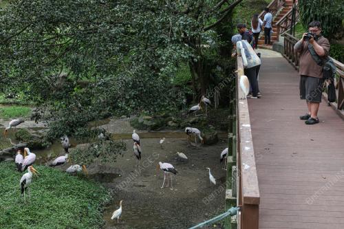 KL BIRD PARK TARIKAN PENGUNJUNG