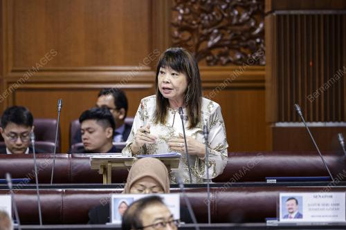 LIM HUI YING
