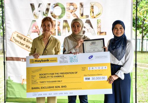 TENGKU PERMAISURI NORASHIKIN